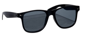 Wayfarer Sunglasses