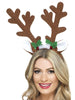 Reindeer Antlers