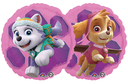 17" Paw Patrol Skye/Everest