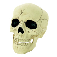 GLOW IN THE DARK SKULL 5.5"